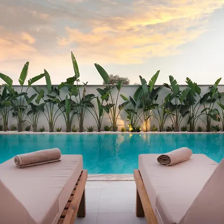 Venzi Ayayorgi-adult Only 15 *